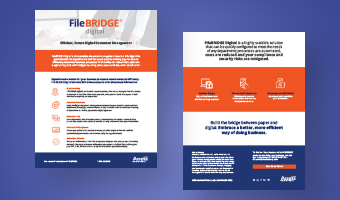 FileBRIDGE Digital Overview | Access Data Sheets