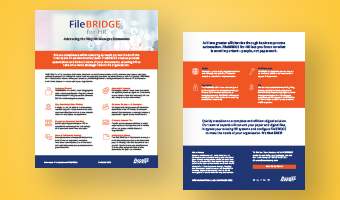 FileBRIDGE for HR Overview | Access Data Sheets