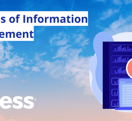 The 4 Cs of Information Management: How to Make Your Program Soar
