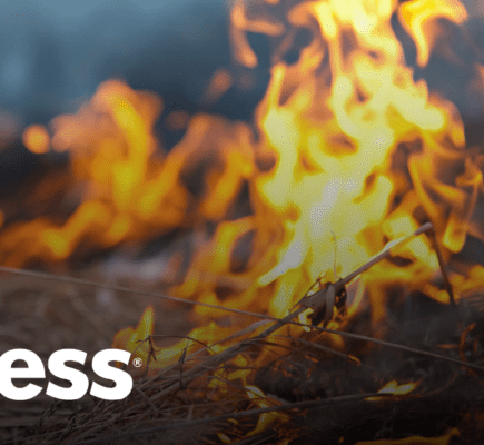 Is Your Information at Risk Due to Wildfires? Here’s How to Prepare Ahead of Time
