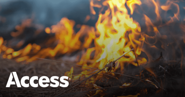 Is Your Information at Risk Due to Wildfires? Here’s How to Prepare Ahead of Time